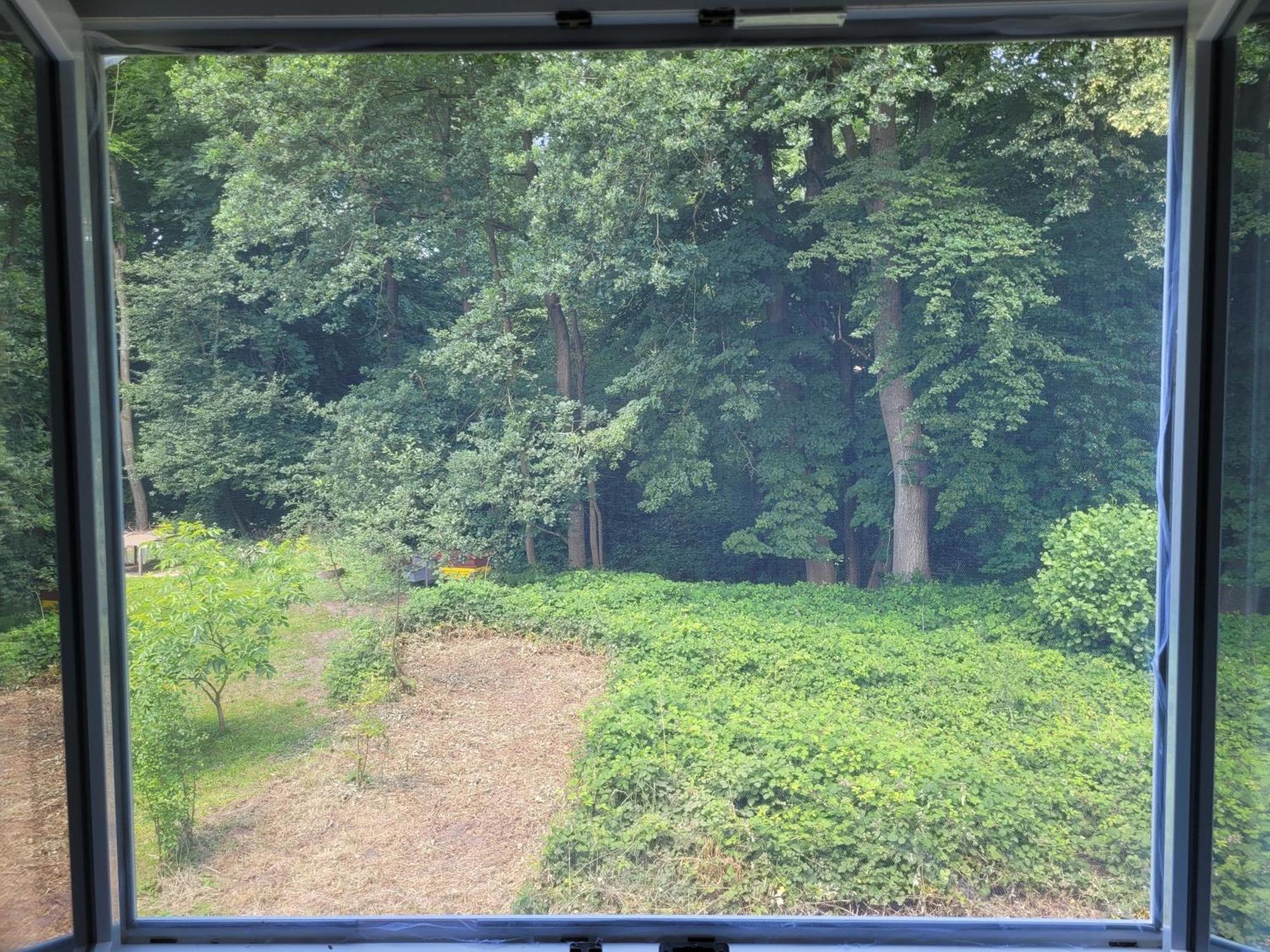 Idylischer Bachplatz Oerlinghausen Zewnętrze zdjęcie